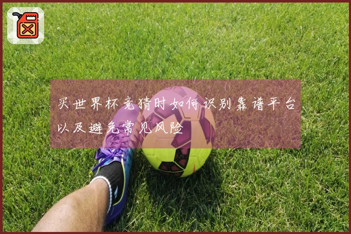 买世界杯竞猜时如何识别靠谱平台以及避免常见风险