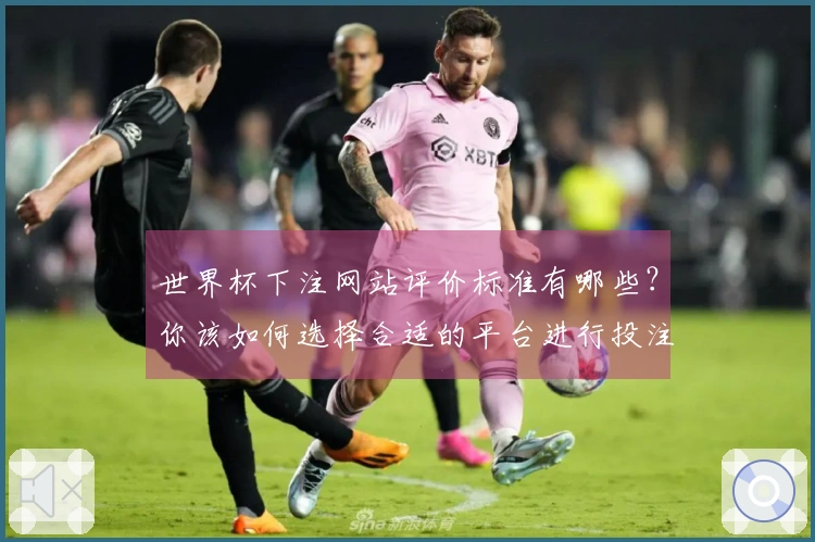 世界杯下注网站评价标准有哪些？你该如何选择合适的平台进行投注
