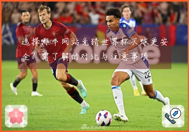 选择哪个网站竞猜世界杯买球更安全？需了解的对比与注意事项