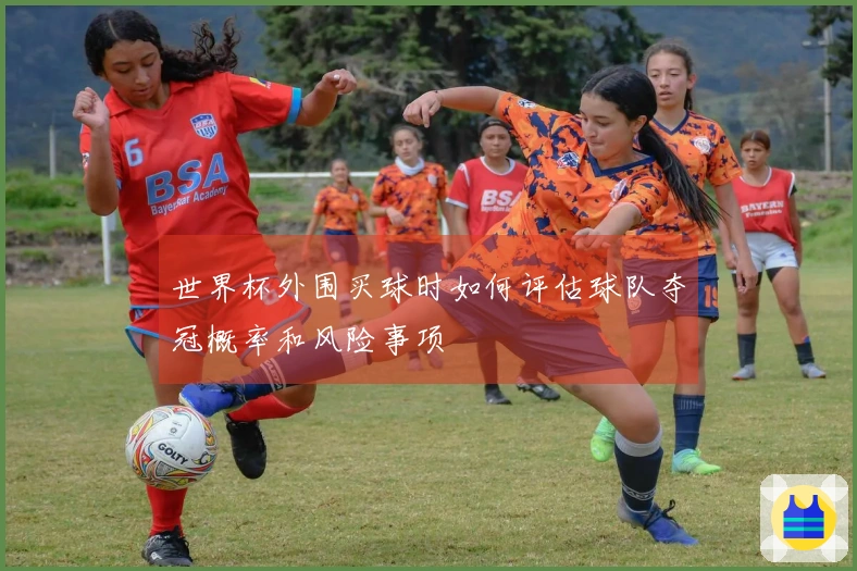 世界杯外围买球时如何评估球队夺冠概率和风险事项
