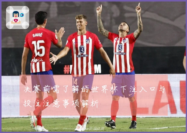 决赛前需了解的世界杯下注入口与投注注意事项解析