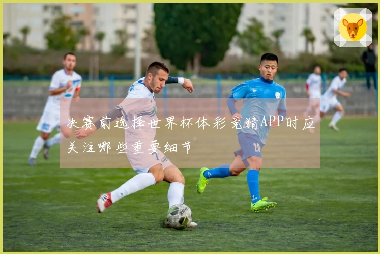 决赛前选择世界杯体彩竞猜APP时应关注哪些重要细节