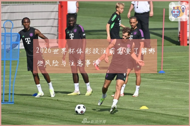 2026世界杯体彩投注前需要了解哪些风险与注意事项
