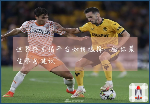 世界杯竞猜平台如何选择，给你最佳参考建议