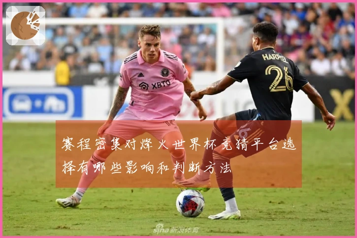 赛程密集对烽火世界杯竞猜平台选择有哪些影响和判断方法