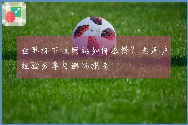 世界杯下注网站如何选择？老用户经验分享与避坑指南
