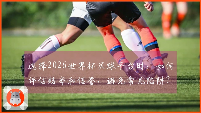 选择2026世界杯买球平台时，如何评估赔率和信誉，避免常见陷阱？