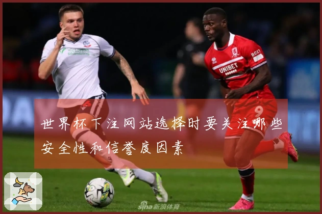 世界杯下注网站选择时要关注哪些安全性和信誉度因素