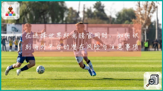 在选择世界杯竞猜官网时，如何识别海外平台的潜在风险与注意事项