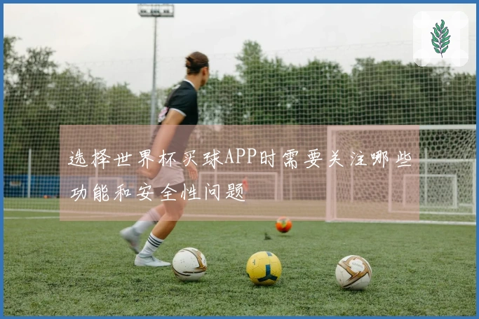 选择世界杯买球APP时需要关注哪些功能和安全性问题