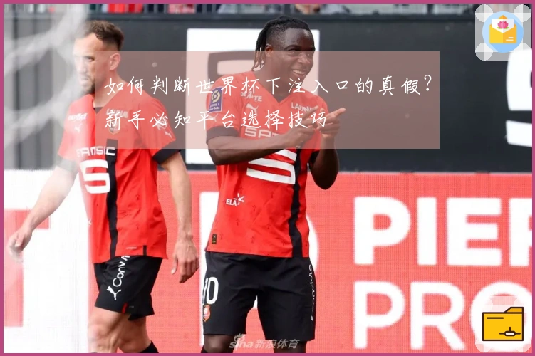 如何判断世界杯下注入口的真假？新手必知平台选择技巧