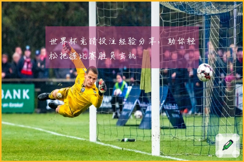 世界杯竞猜投注经验分享，助你轻松把握比赛胜负玄机