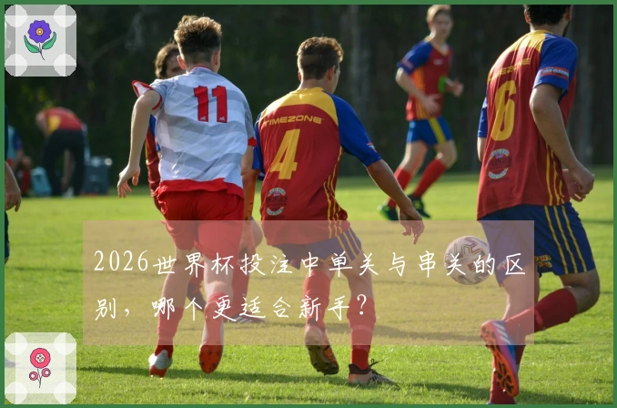 2026世界杯投注中单关与串关的区别，哪个更适合新手？