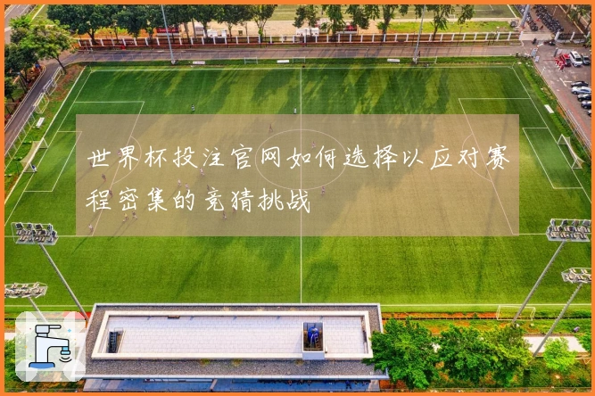 世界杯投注官网如何选择以应对赛程密集的竞猜挑战