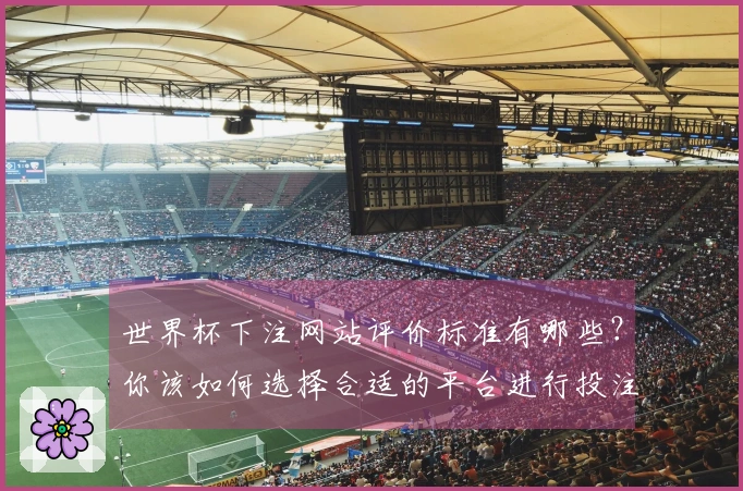 世界杯下注网站评价标准有哪些？你该如何选择合适的平台进行投注