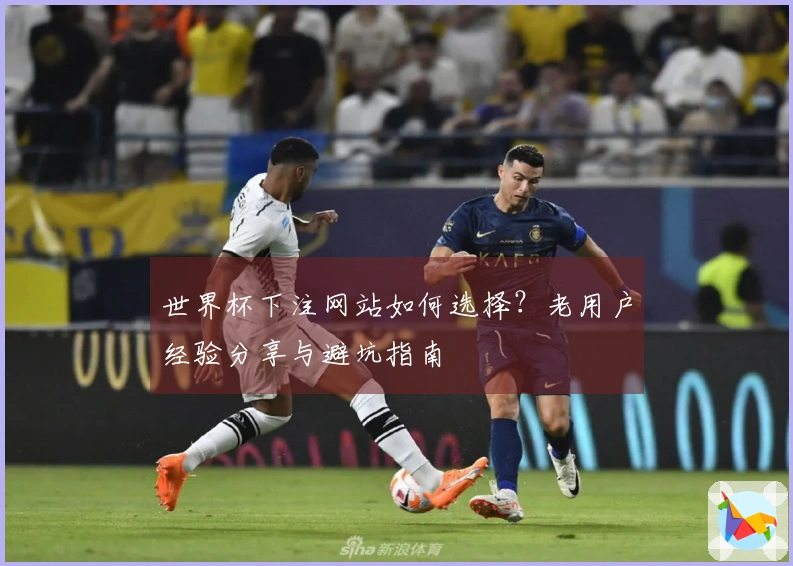 世界杯下注网站如何选择？老用户经验分享与避坑指南