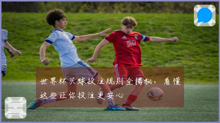 世界杯买球投注规则全揭秘，看懂这些让你投注更安心