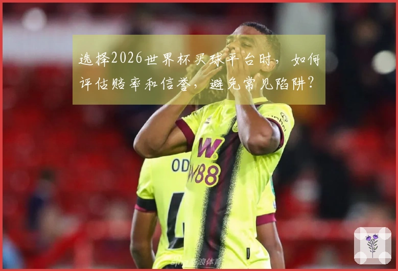 选择2026世界杯买球平台时，如何评估赔率和信誉，避免常见陷阱？
