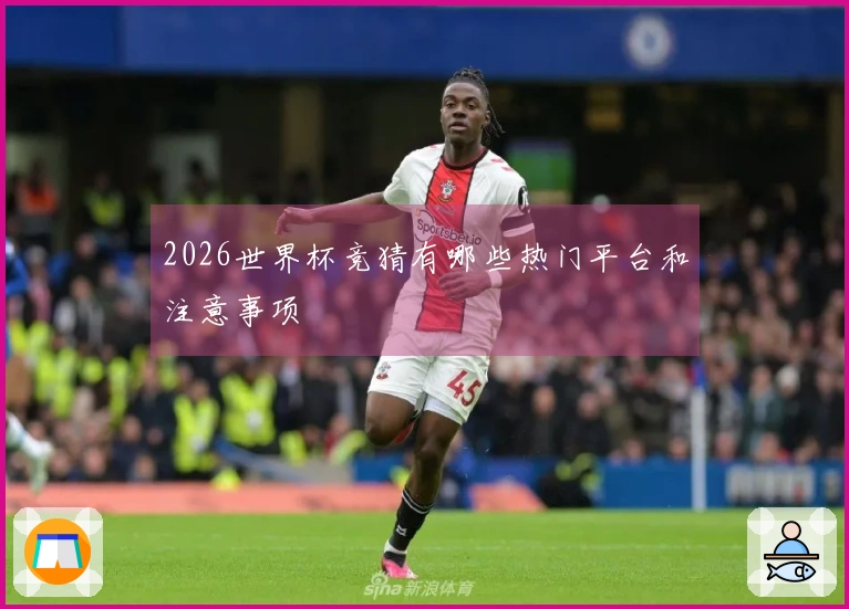 2026世界杯竞猜有哪些热门平台和注意事项