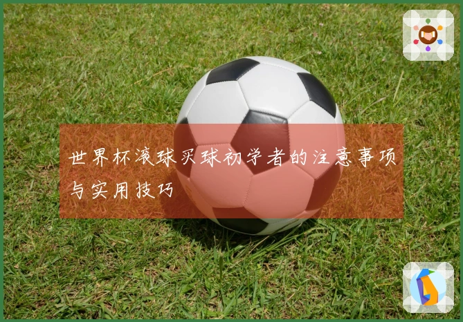 世界杯滚球买球初学者的注意事项与实用技巧