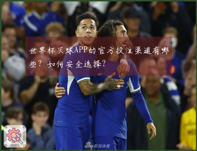 世界杯买球APP的官方投注渠道有哪些？如何安全选择？