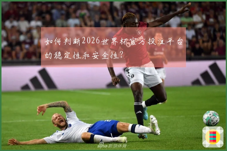 如何判断2026世界杯官方投注平台的稳定性和安全性？