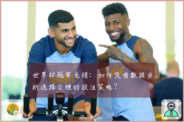 世界杯冠军竞猜：如何凭借数据分析选择合理的投注策略？