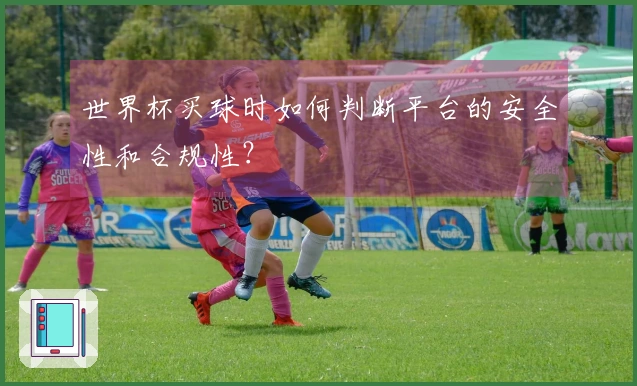 世界杯买球时如何判断平台的安全性和合规性？