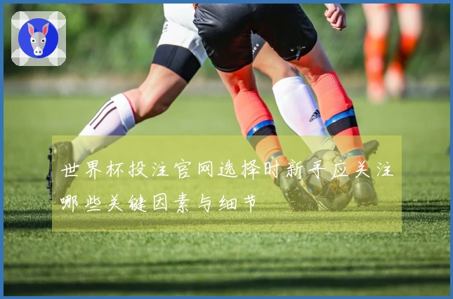 世界杯投注官网选择时新手应关注哪些关键因素与细节