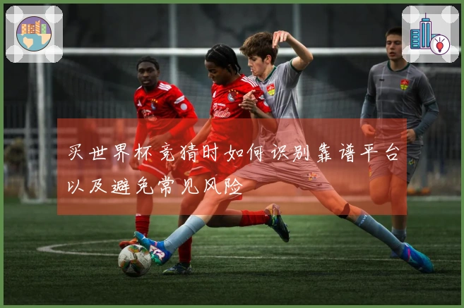 买世界杯竞猜时如何识别靠谱平台以及避免常见风险