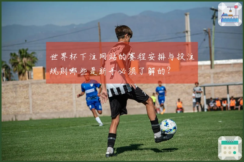 世界杯下注网站的赛程安排与投注规则哪些是新手必须了解的？