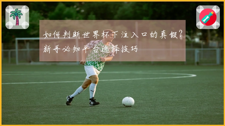 如何判断世界杯下注入口的真假？新手必知平台选择技巧