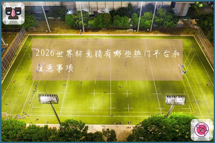 2026世界杯竞猜有哪些热门平台和注意事项
