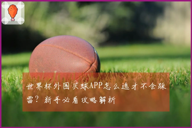 世界杯外围买球APP怎么选才不会踩雷？新手必看攻略解析