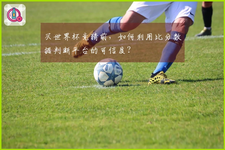 买世界杯竞猜前，如何利用比分数据判断平台的可信度？